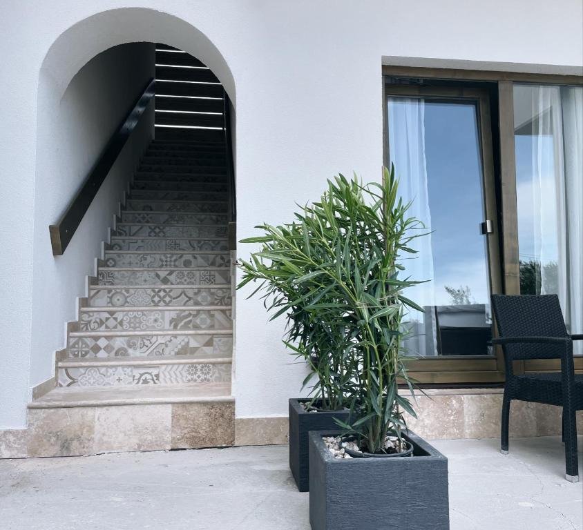 Selora Vama Veche CM 4