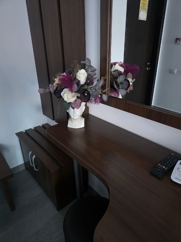Vila Turistica CASA DFG CM 2