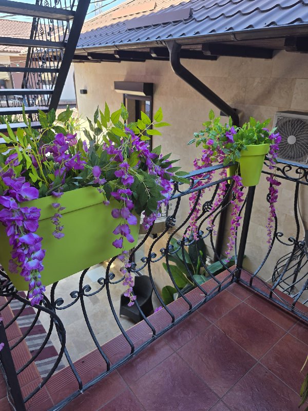 Vila Turistica CASA DFG CM 5