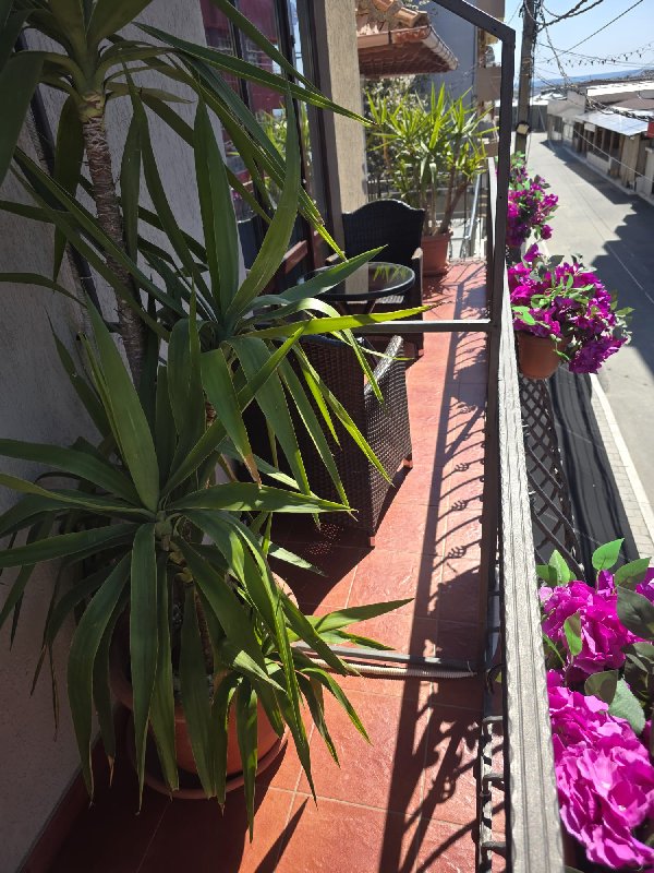 Vila Turistica CASA DFG CM 8