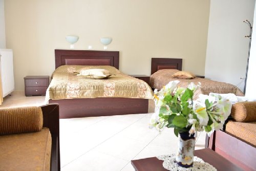 DELFINI HOTEL SKALA POTAMIA 4