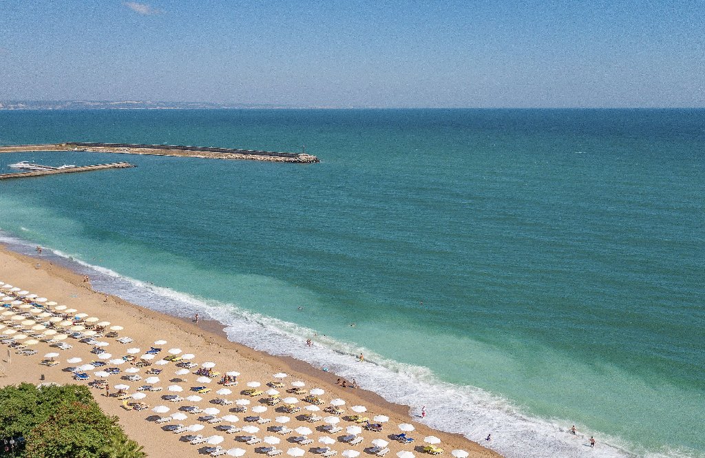 GRIFID FORESTA ( Adults only) 7