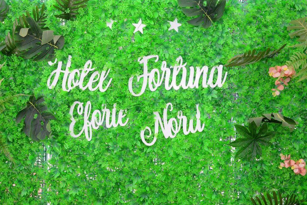 FORTUNA 43