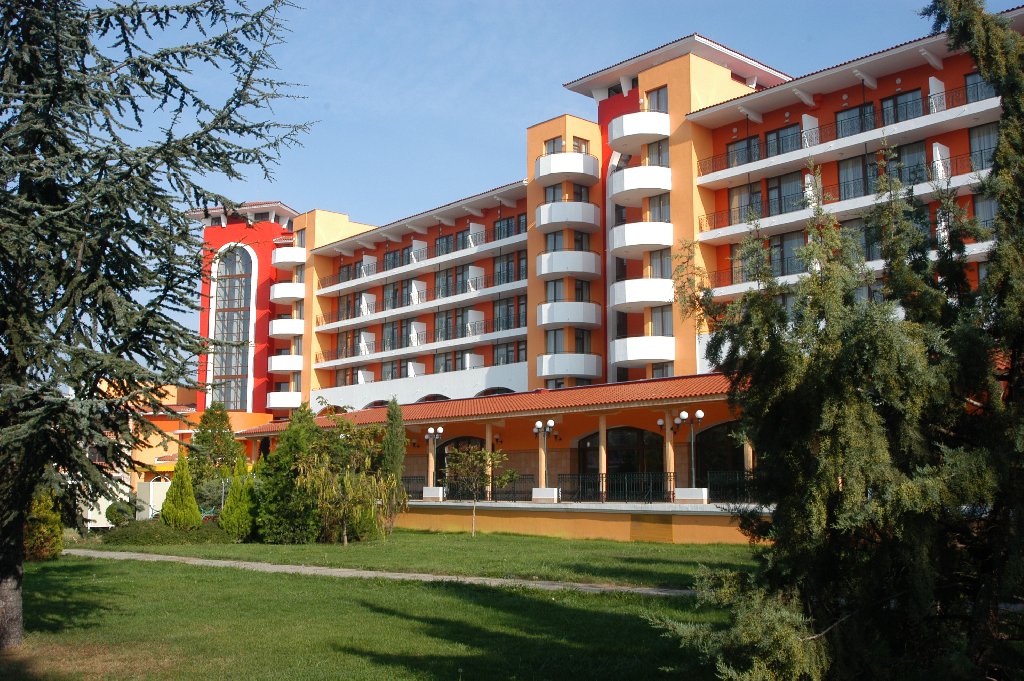 HRIZANTEMA 2