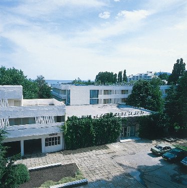 KAMELIA 1